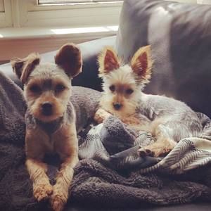 Meet your Posher, Jenn